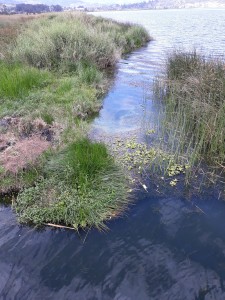laguna di san Lorenzo
