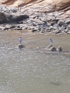 Spiaggia di santa Marianita